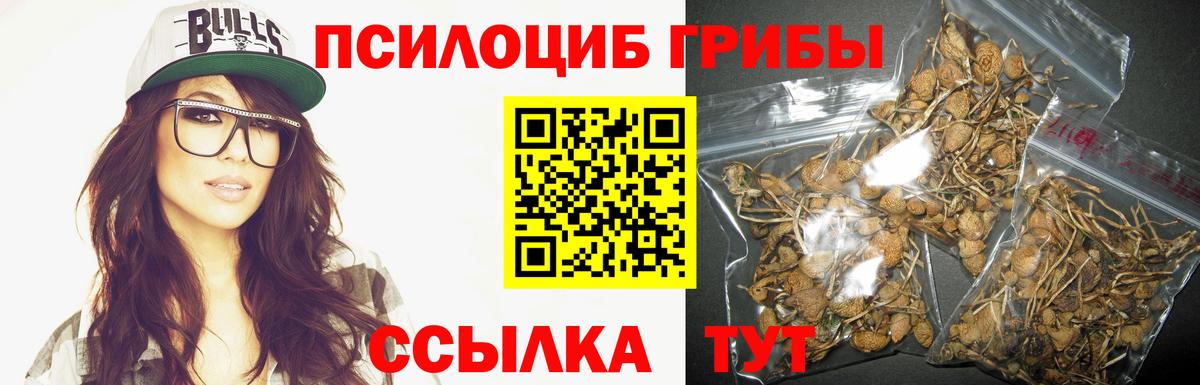 магазин  наркотиков  Псилоцибиновые грибы мицелий  Вход с VPN  Ростов-на-Дону 