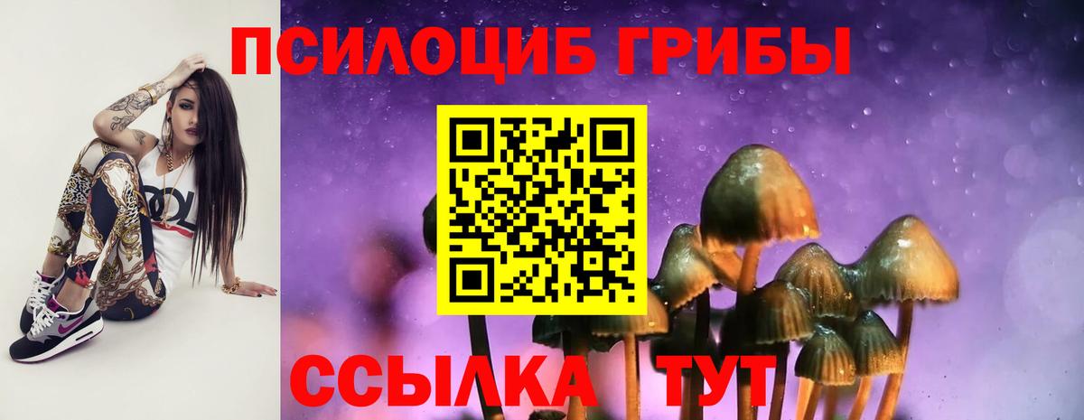 Галлюциногенные грибы мицелий Ростов-на-Дону